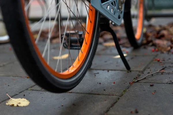 Wheel of orange bike in autumn