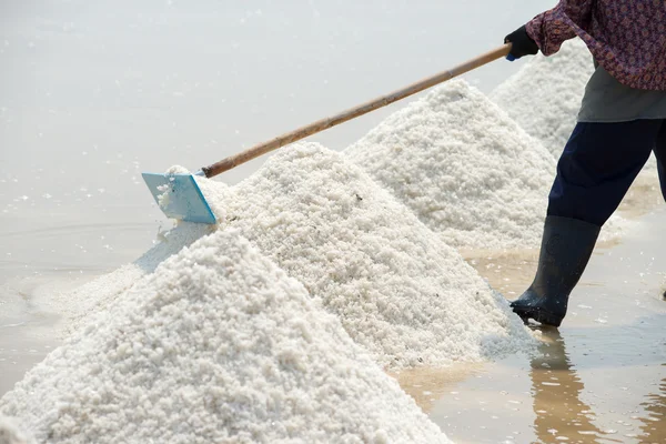 Farmer makes salt piles