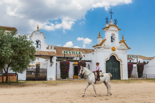 El ROCIO, ANDALUCIA, SPAIN - MAY 22: Boy rider passes through the village before the religious festival. 2015 It is one of the most famous pilgrimage of Spain.