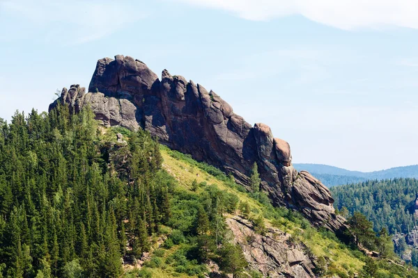 Summer landscape the wood, mountains in Russia