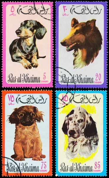 Set of stamps printed in Ras-al-Khaimah shows dogs
