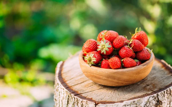 Organic Strawberries. Ripe Strawberry In Fruit Garden, Old Woode