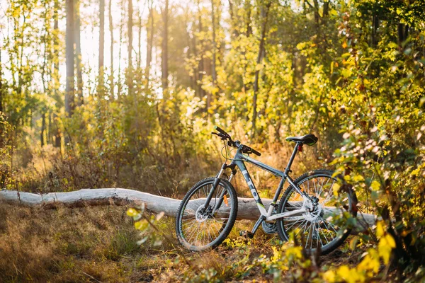 Mountain bike bicycle brand LTD is an old fallen tree in autumn