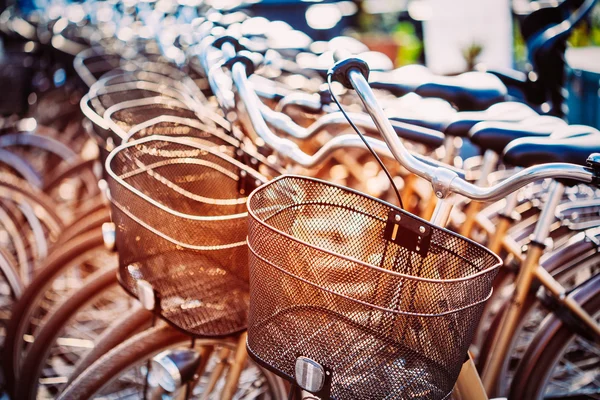 Close Up Of Basket Of Bicycle On Parking. Sunlight Sunshine Thro