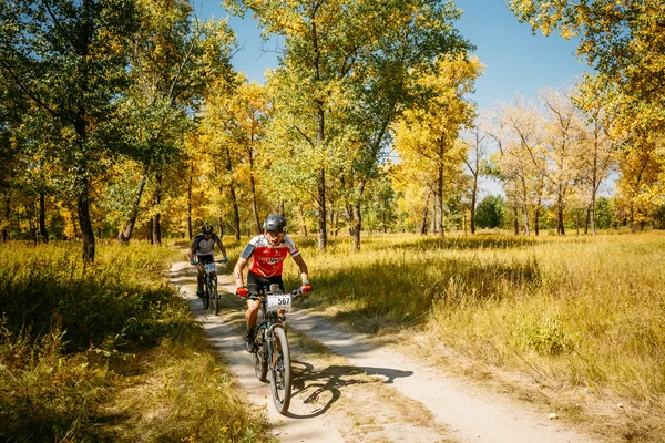 Two mountain bike cyclists riding track at sunny day, healthy l