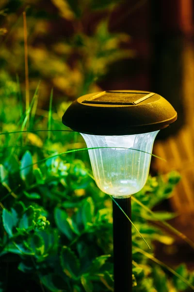 Small Solar Garden Light, Lantern In Flower Bed. Garden Design.