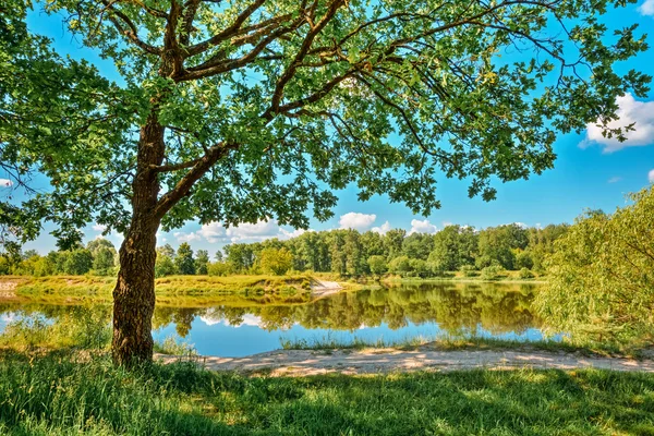 River Landscape With Reflections Of Clouds And Oak Woods In Water