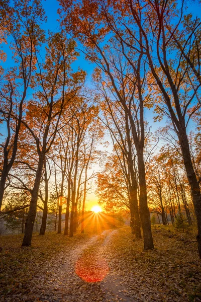Winding Countryside Road Path Walkway Through Autumn Forest. Sunset Sunrise
