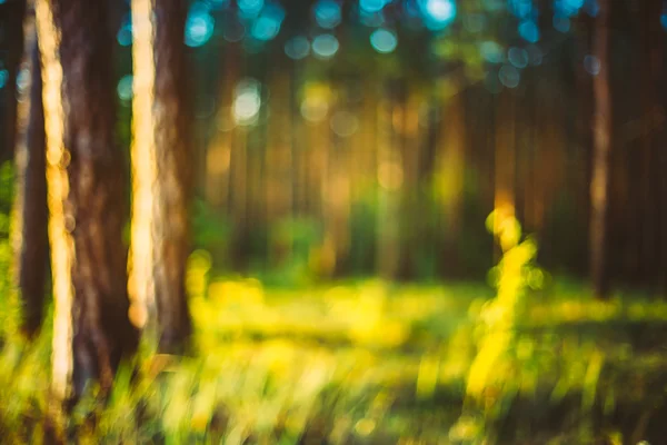 Nature Green Blurred Background Of Out Of Focus Forest Or Bokeh,