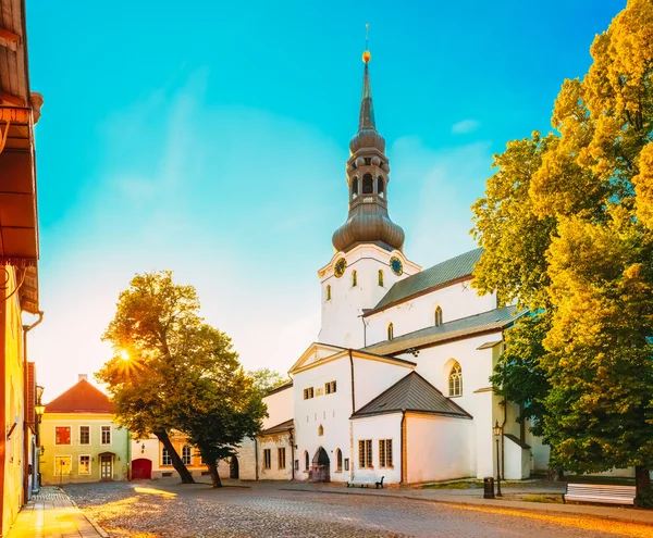 St Mary\'s Cathedral, Tallinn (Dome Church)
