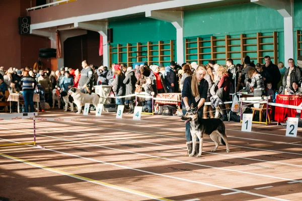 People and dogs visit Palace athletics exhibition  -Internationa