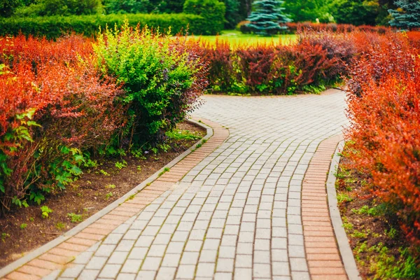 Beautiful Alley In Park. Garden Landscaping Design