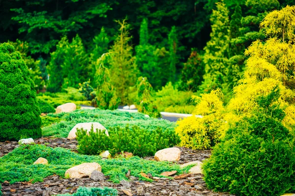 Garden Landscaping Design. Flower Bed, Green Trees And Bushes In