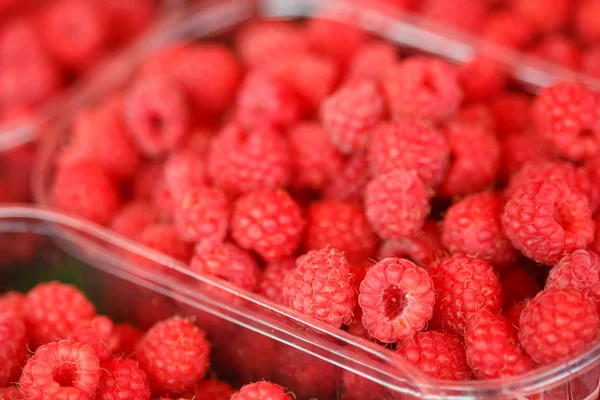 Baskets Full Of Raspberries On The Farmers Market