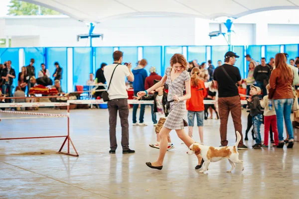 People and dogs visit exhibition -International dog show, import