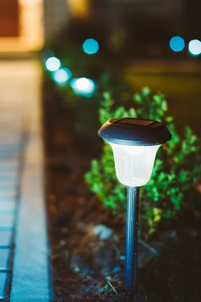 Small Solar Garden Light, Lantern In Flower Bed. Garden Design.