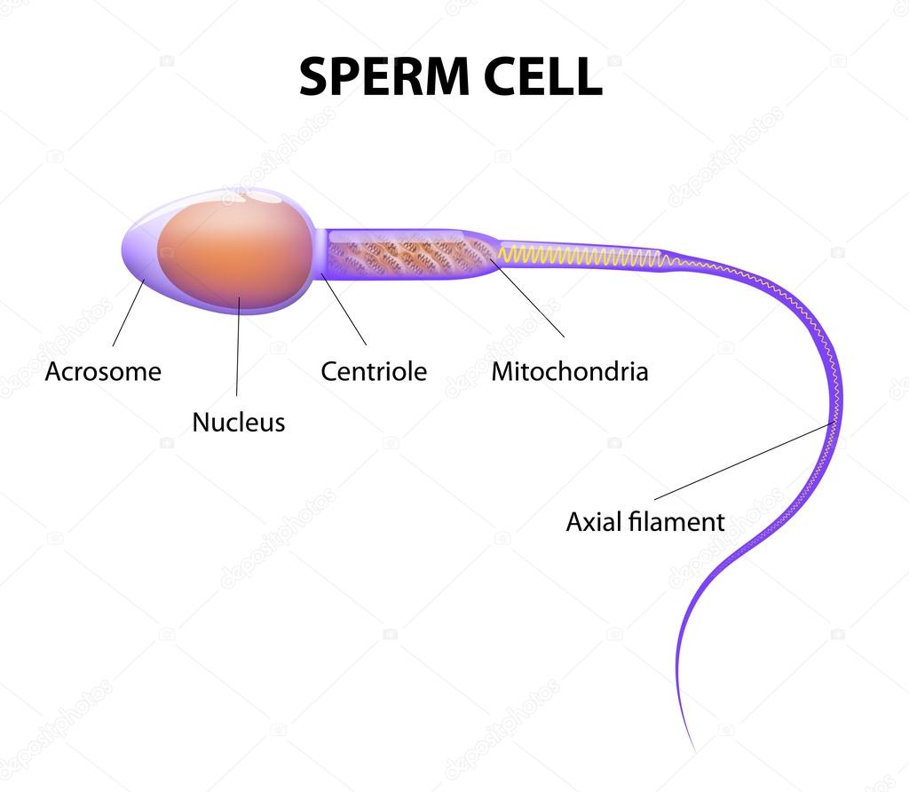 Air kills sperm