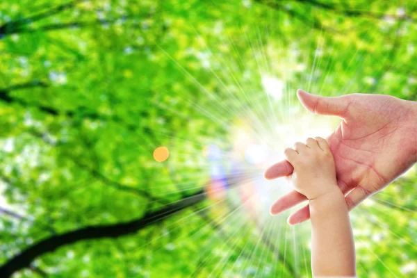 父手捧上一岁婴儿手背后隐藏的意义自然绿色的