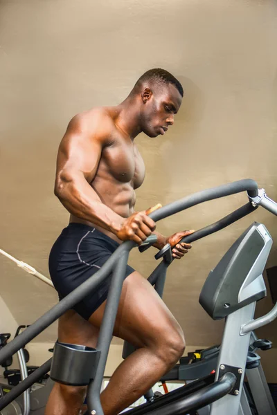 Muscular black male bodybuilder exercising on step machine