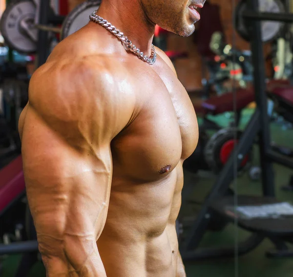 Bodybuilder working out at gym, side view of muscular chest, pecs, arms