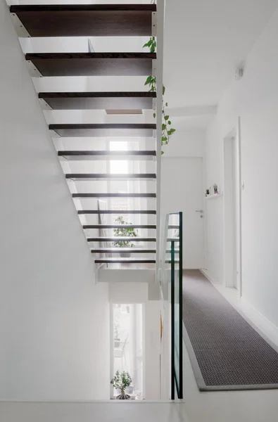 House hall stairs and glass balustrade