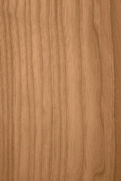 Ash plank brown background