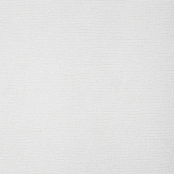 White canvas texture