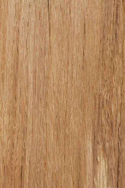 Oak wooden background