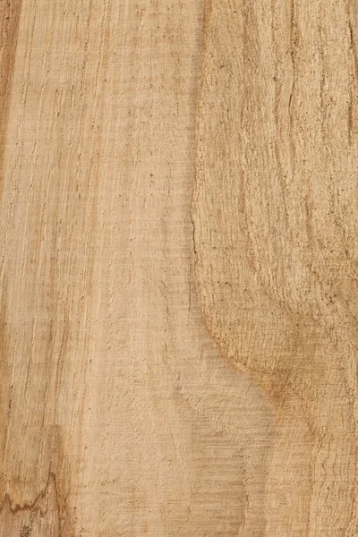 Oak wood grain texture