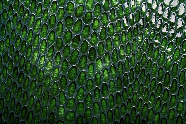 Green snake skin background