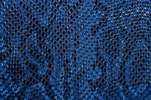 Blue snake skin background