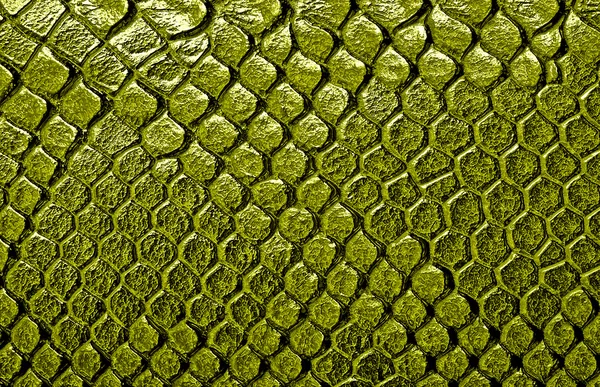 Snake skin, can use as background