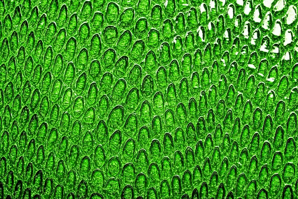 Green snake skin background