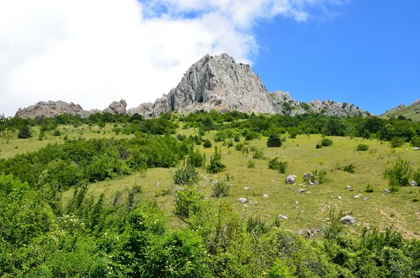 Jagged rocks of Karabi-Yaila in the summer. Crimea, Russia