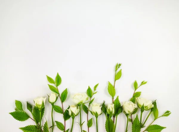 Decorative frame with gentle white roses on white background. Flat lay