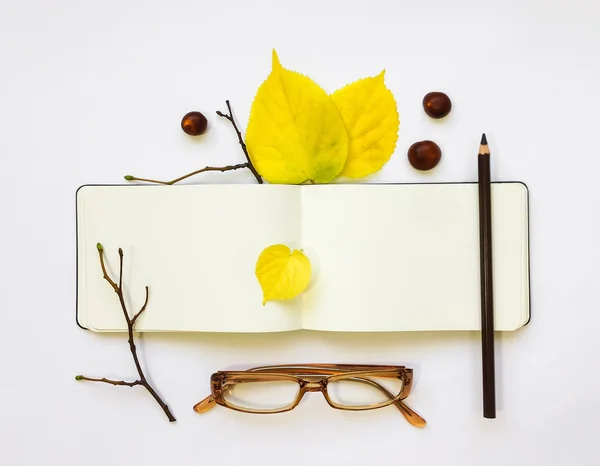 Closeup of leather pen case, notebook and glasses on white background. Autumn decoration. Top view, flat lay