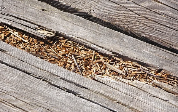 Rotted wood on boardwalk path