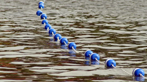 Buoys strung together by rope along lake to create safe swimming area for swimmers