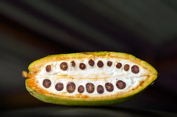Close up of fresh cacao fruits