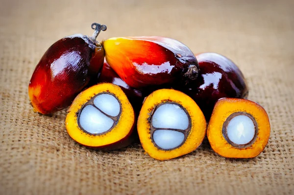 Close up of fresh oil palm fruits, selective focus.