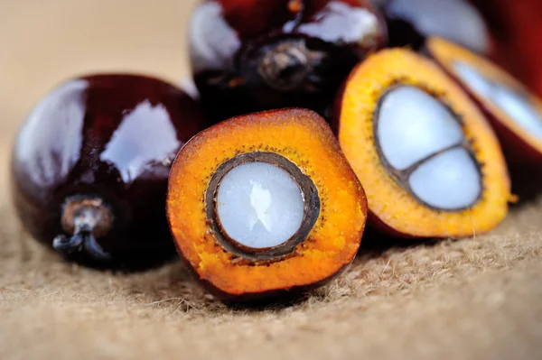 Close up of fresh oil palm fruits, selective focus.