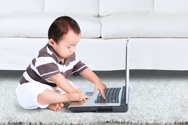 Baby playing laptop computer