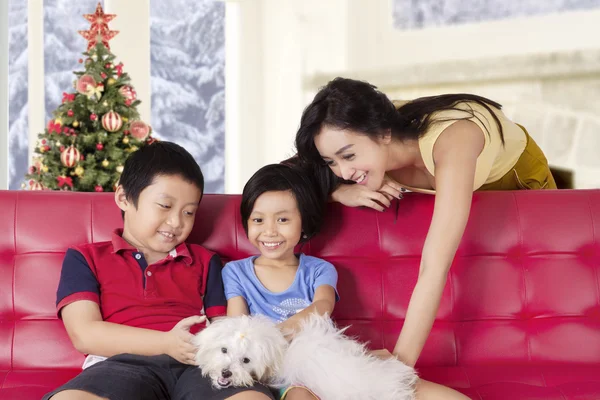 Two children and mother playing dog on sofa