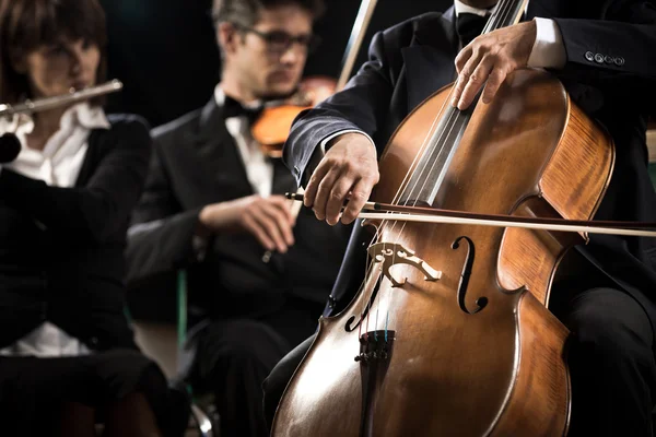 Symphony orchestra: cello player close-up