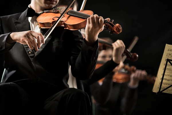 Violin orchestra performing