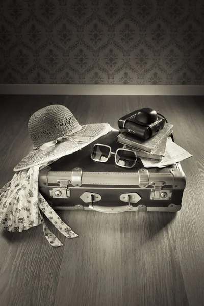 Vintage traveler suitcase