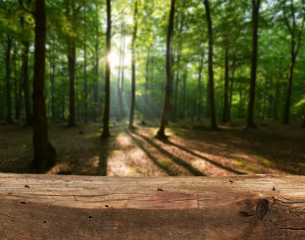 Empty table  in the forest