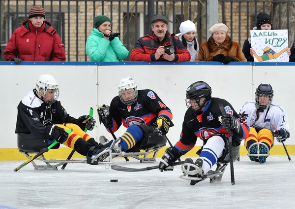 Sledge hockey players on the background of spectators