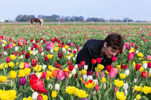 Woman smelling flowers in a Dutch tulip field