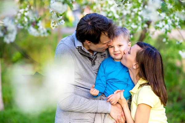 Happy young family stands near a flowering tree and smiling